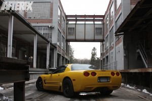 GoldVette2